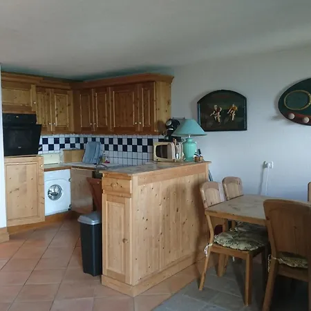 Duplex 4 Pieces Au Pied Des Pistes Avec Parking Et Animaux Acceptes - Fr-1-411-599